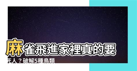 麻雀入屋|【麻雀飛進家裏代表什麼】麻雀飛進家裡代表什麼？福禍吉凶大公。